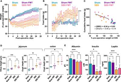 Fecal microbiota transplantation in a rodent model of short bowel syndrome: A therapeutic approach?